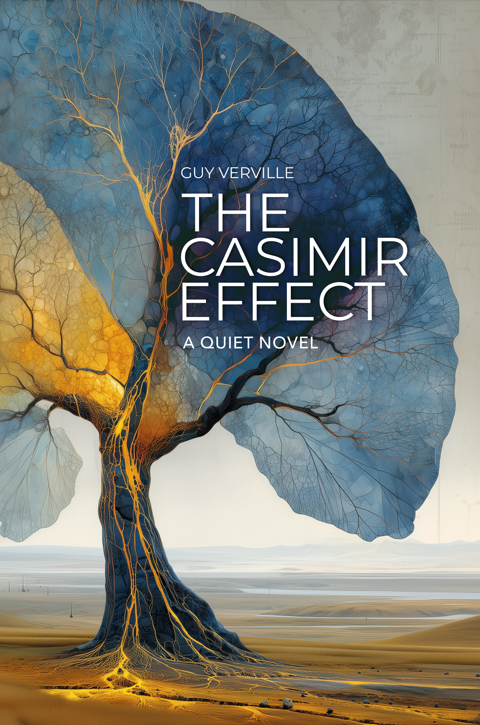 The Casimir Effect