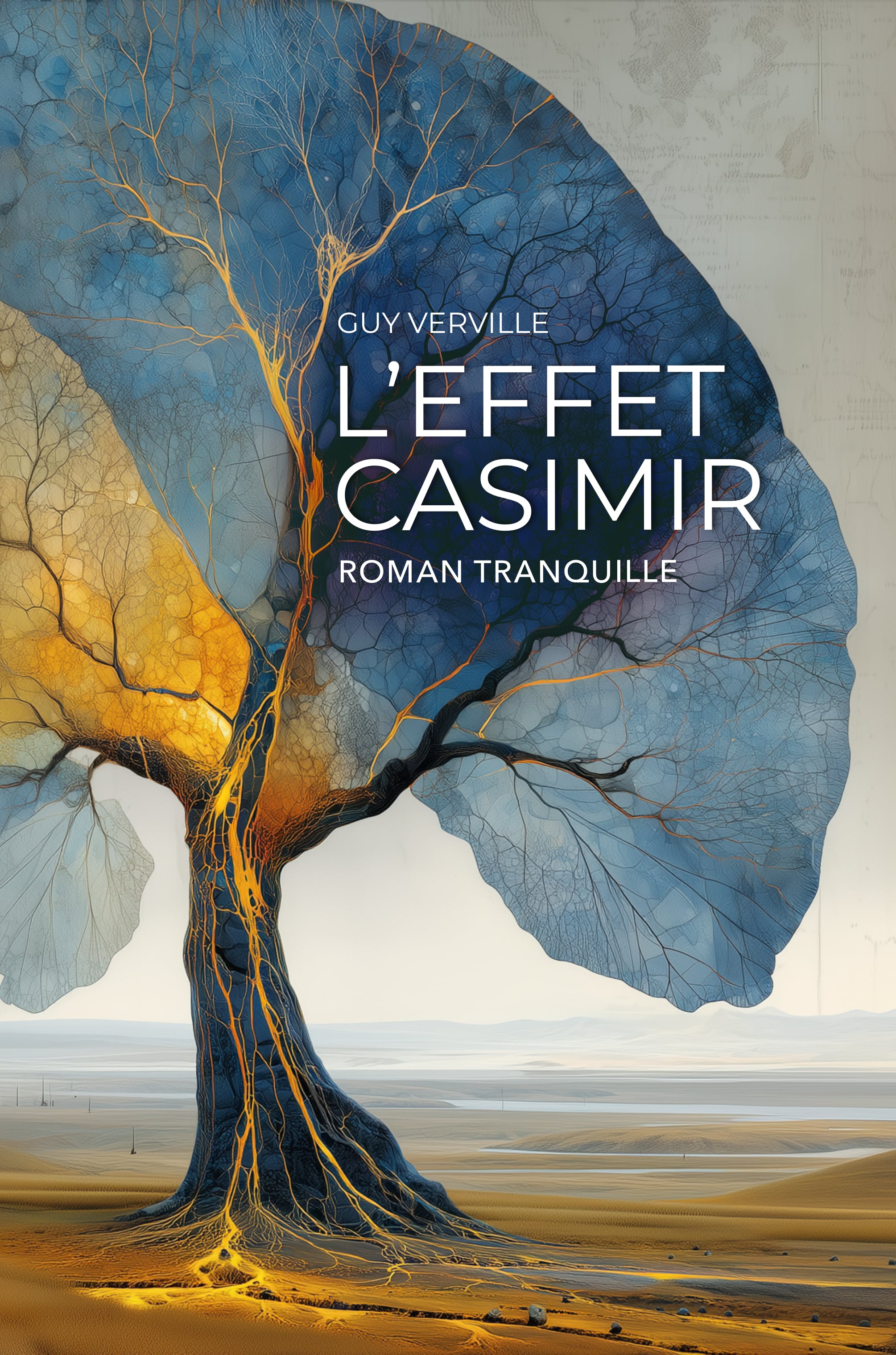 L’Effet Casimir