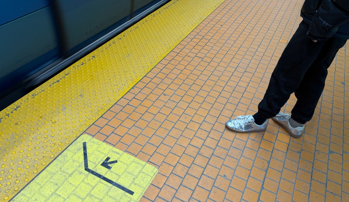 The brain in the wind