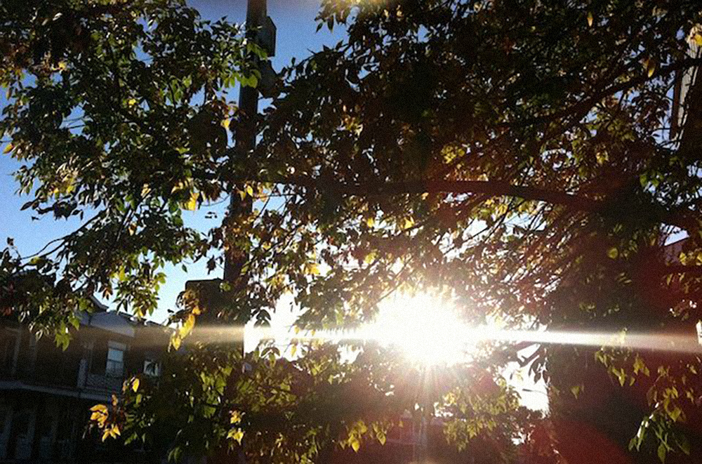 Le pouvoir de mes aïeux