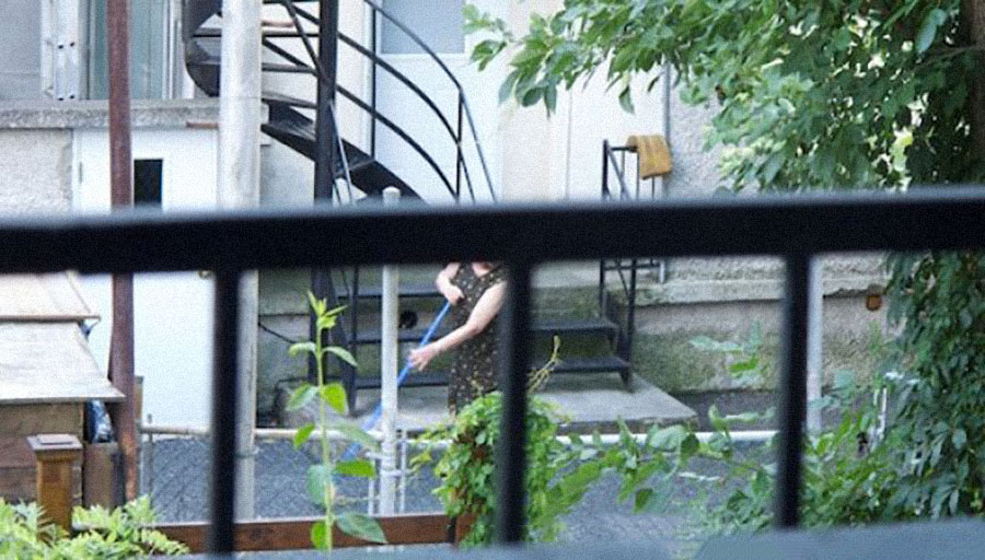 La dame et son balai