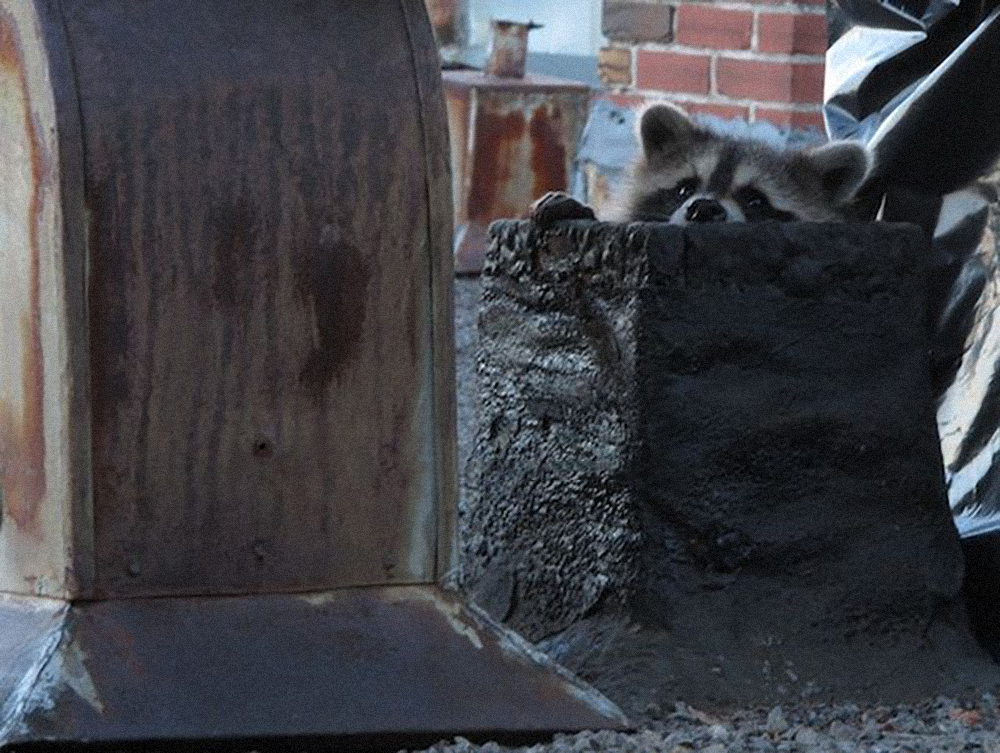 L’arche de Noé dans les combles