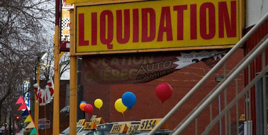 The grey, the cats, the looks