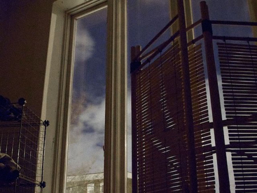 Ce goût de l’immobilité