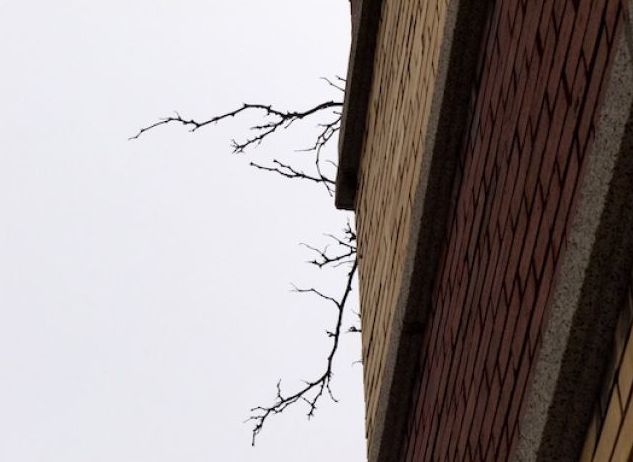 Nous n’appartenons qu’à tout le monde et qu’à nous