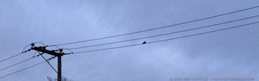 Nous vivons forcément seuls