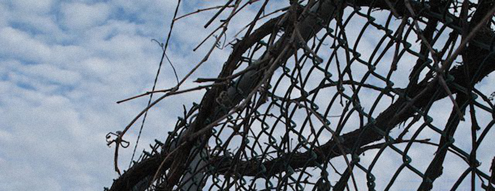 De l’enchevêtrement et du laisser-aller