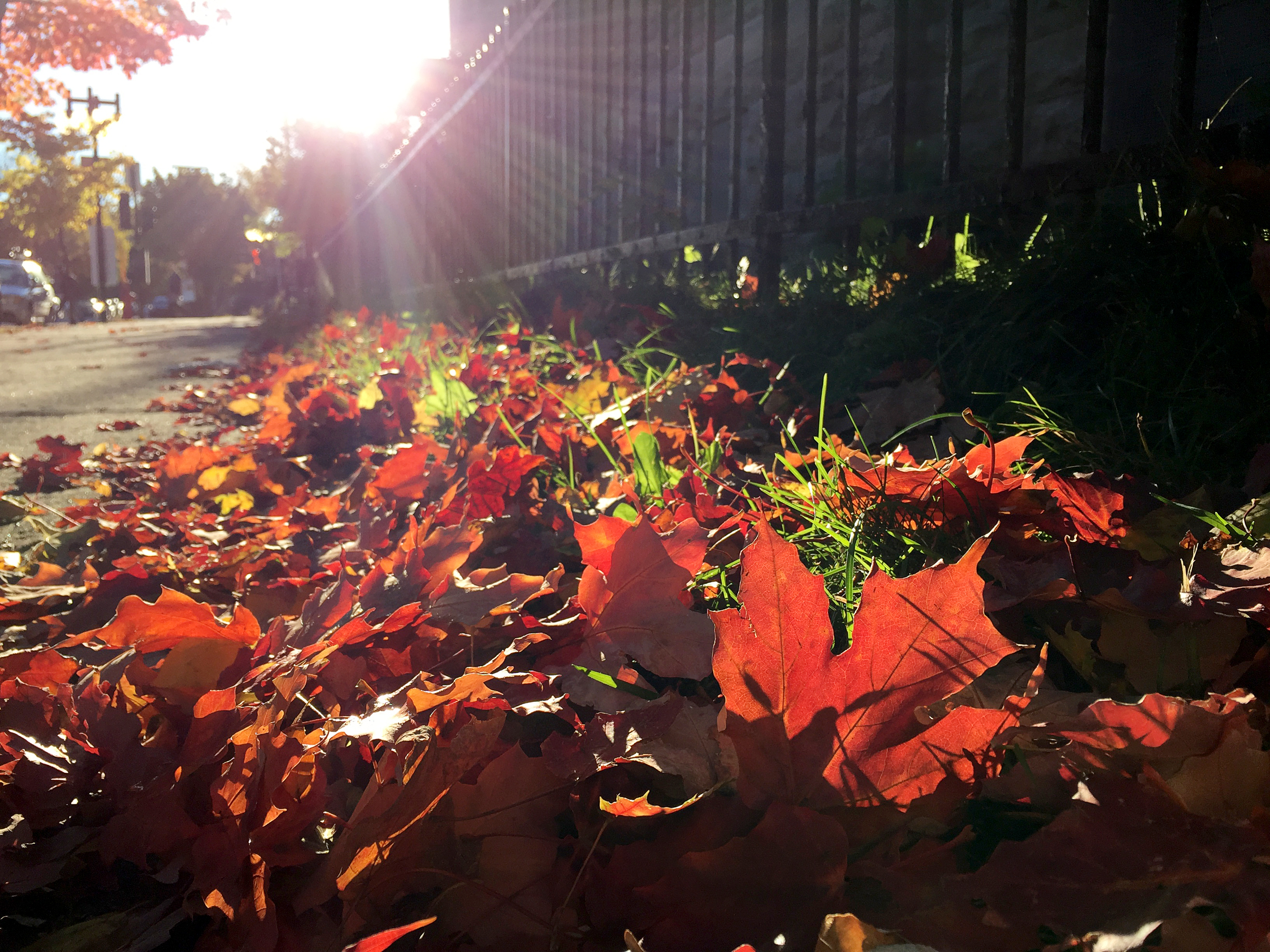 Le mélange des saisons