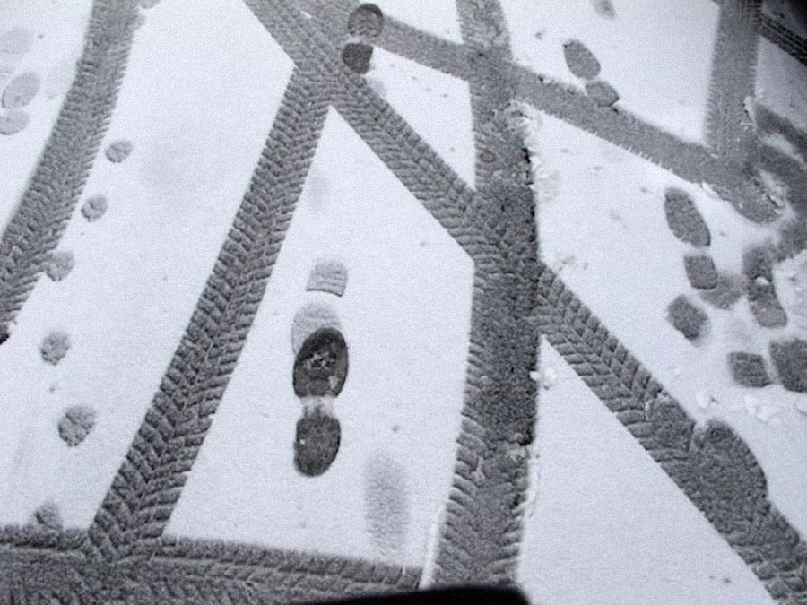 On aura marché sur Terre