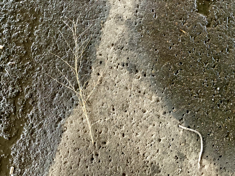 Toi, l’être humain