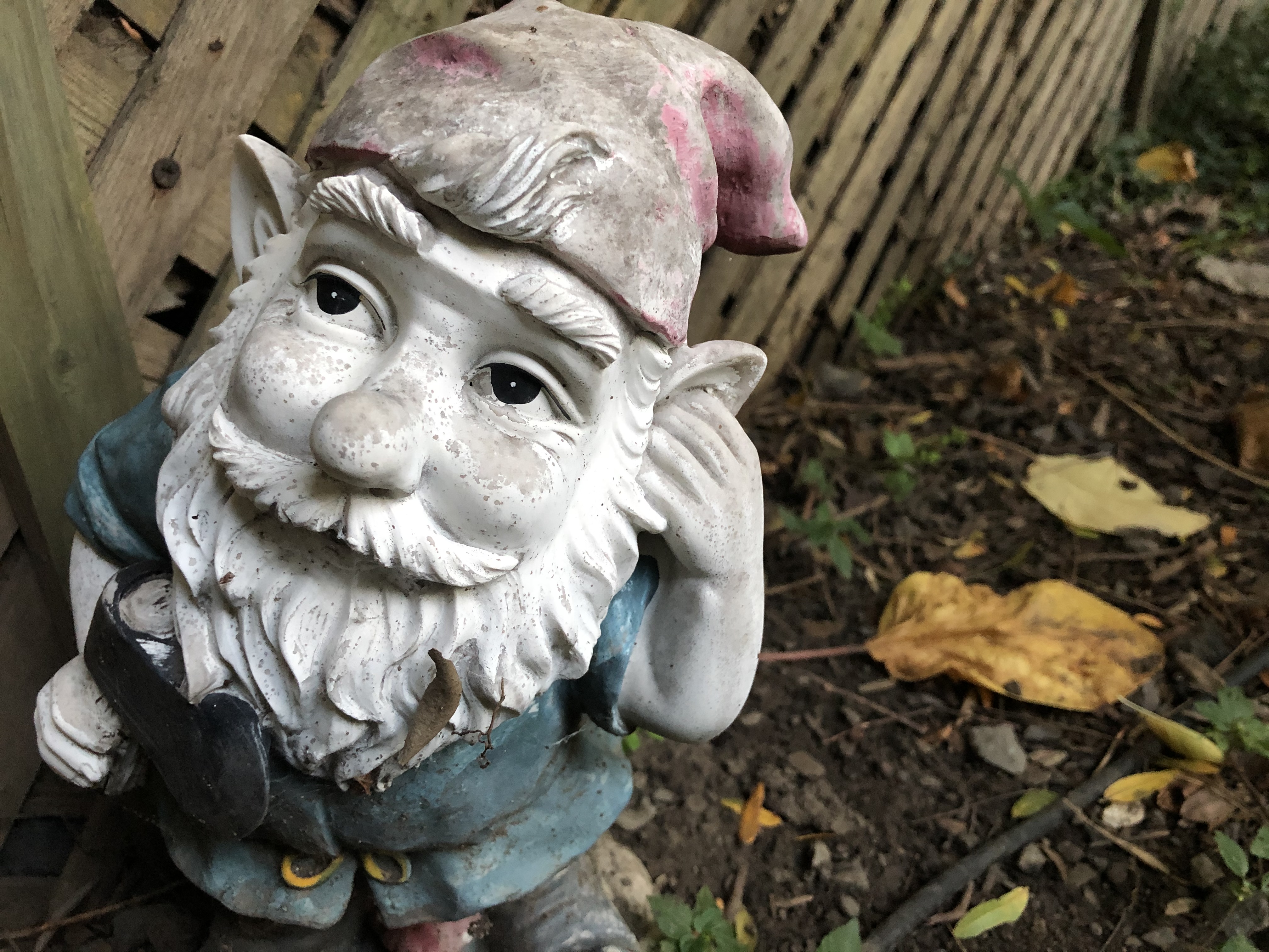 Cultivating the present