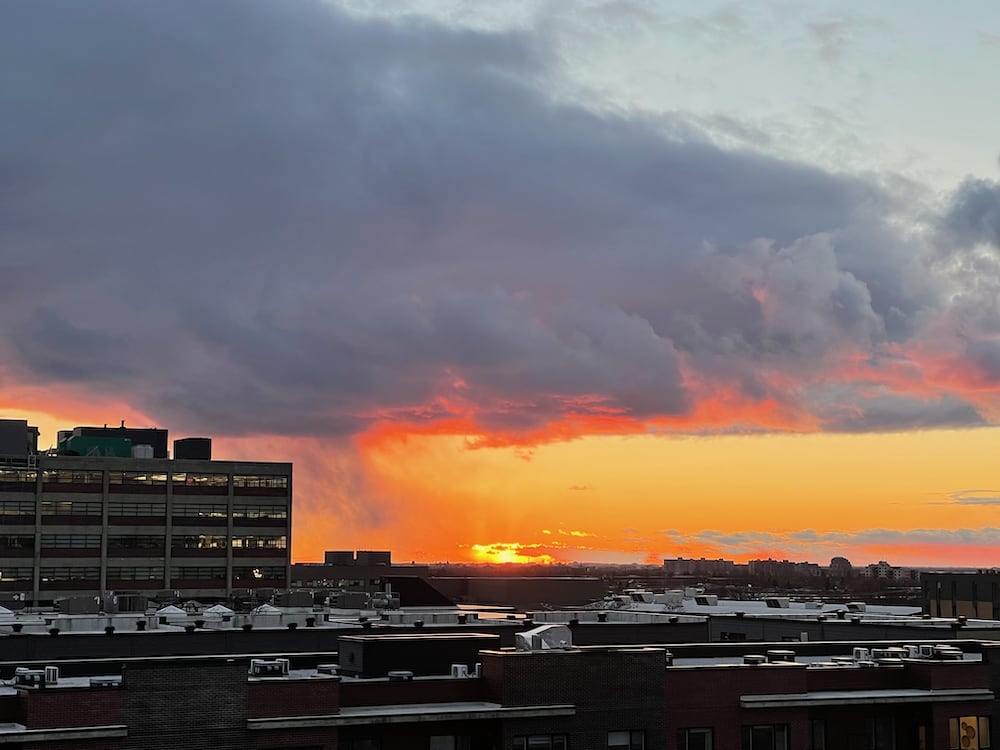 Listening to Shubert