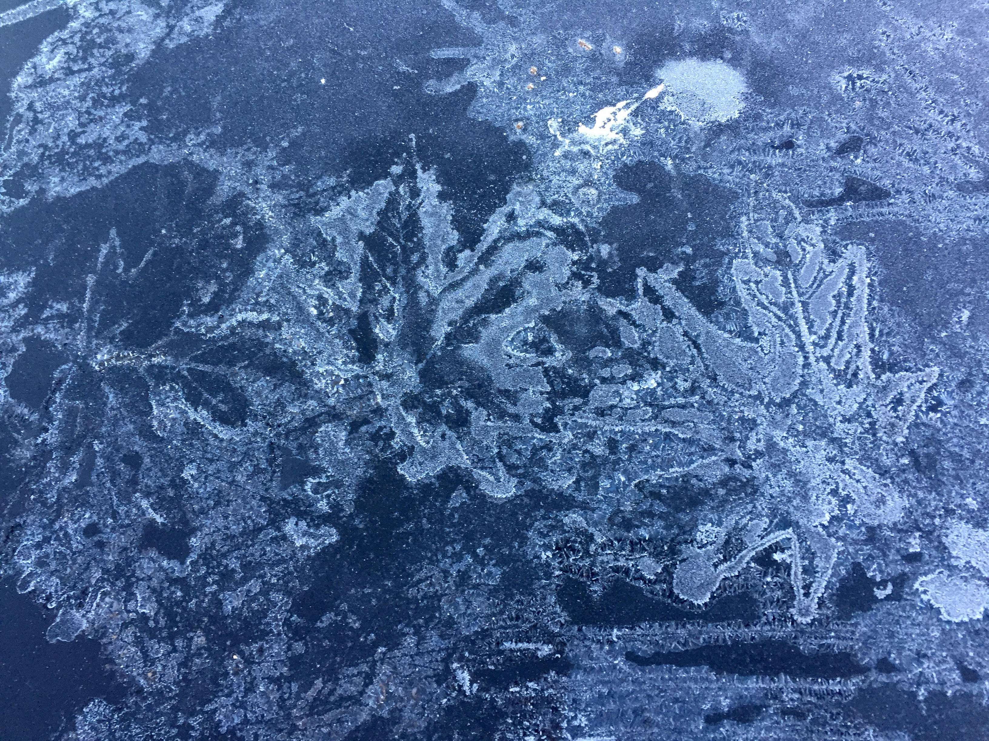 Just before the snow