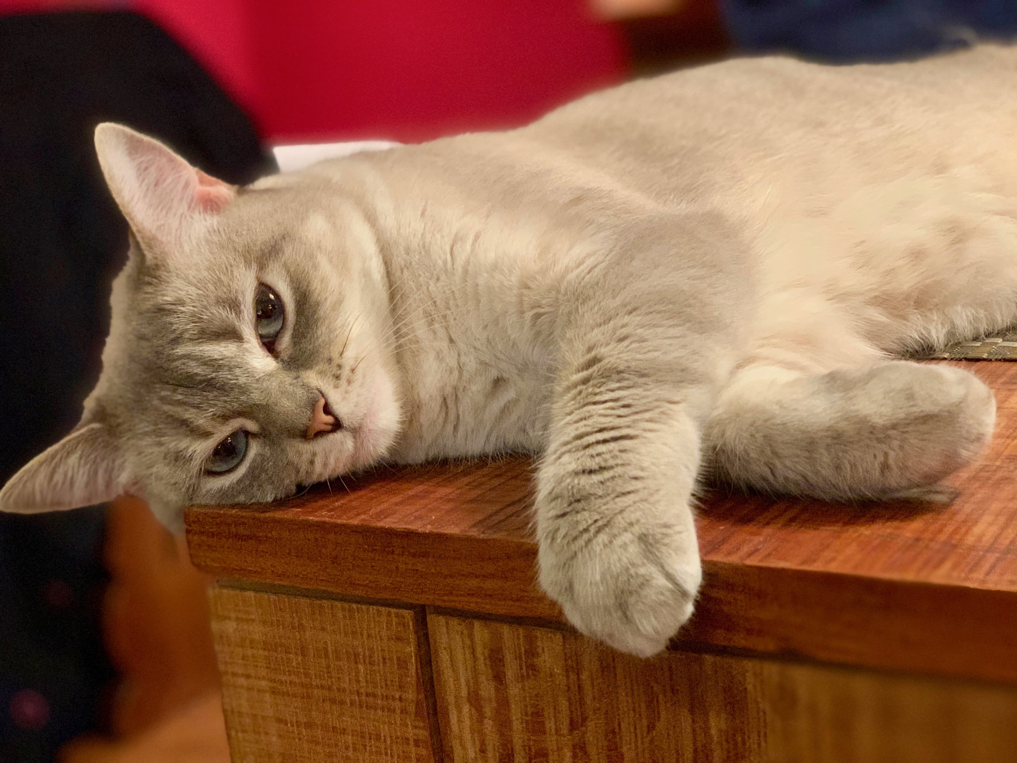 The Path is Everywhere