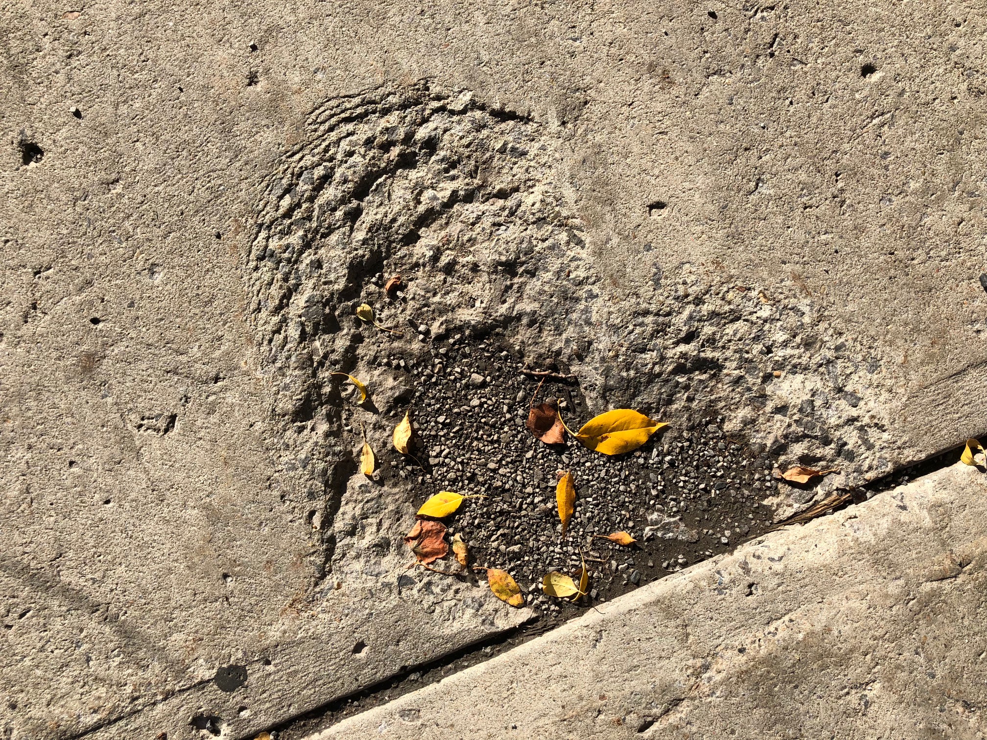 Et souviens-toi encore que chacun ne vit que le présent