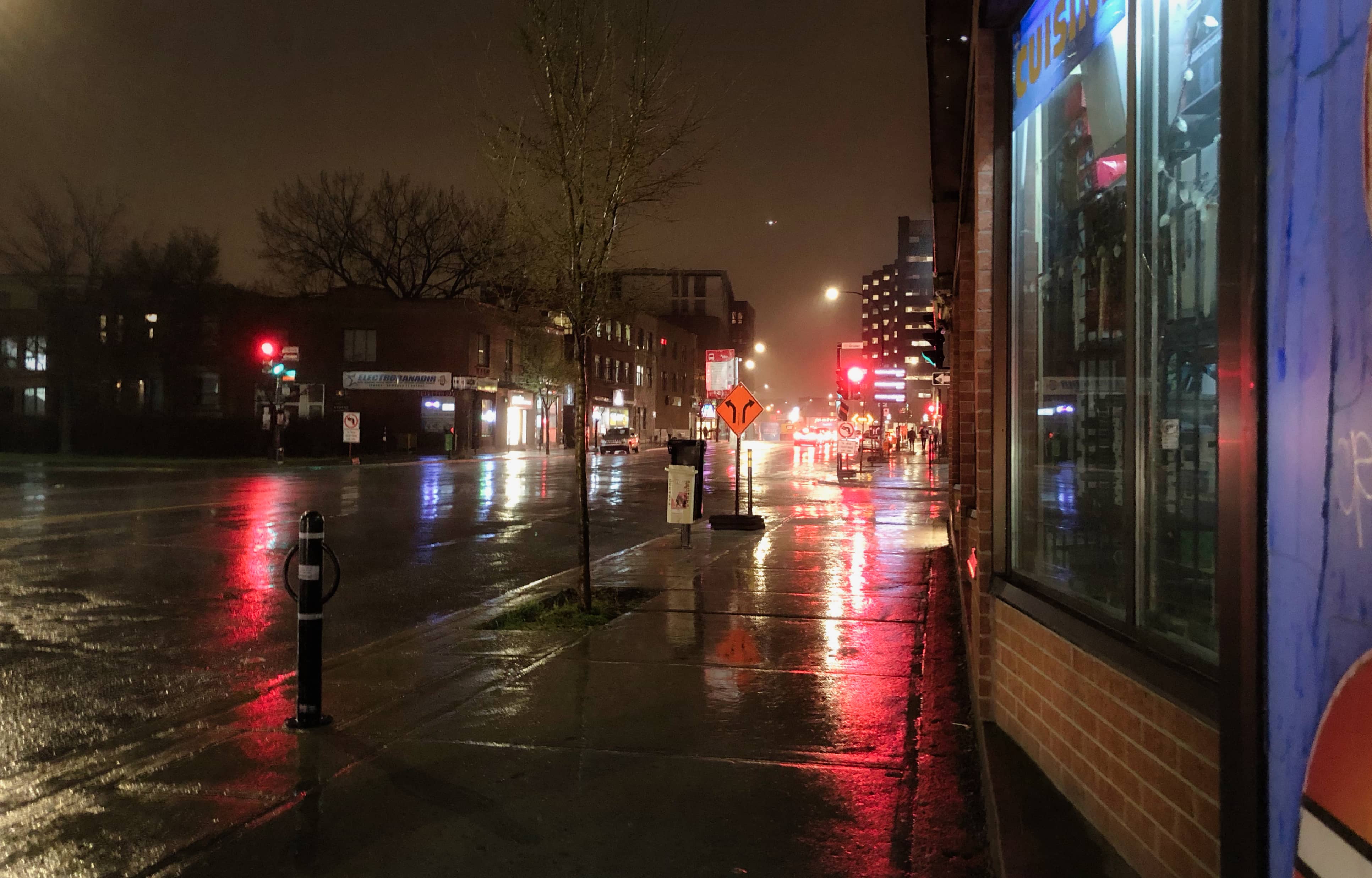 No boyfriend, no dog, no cat