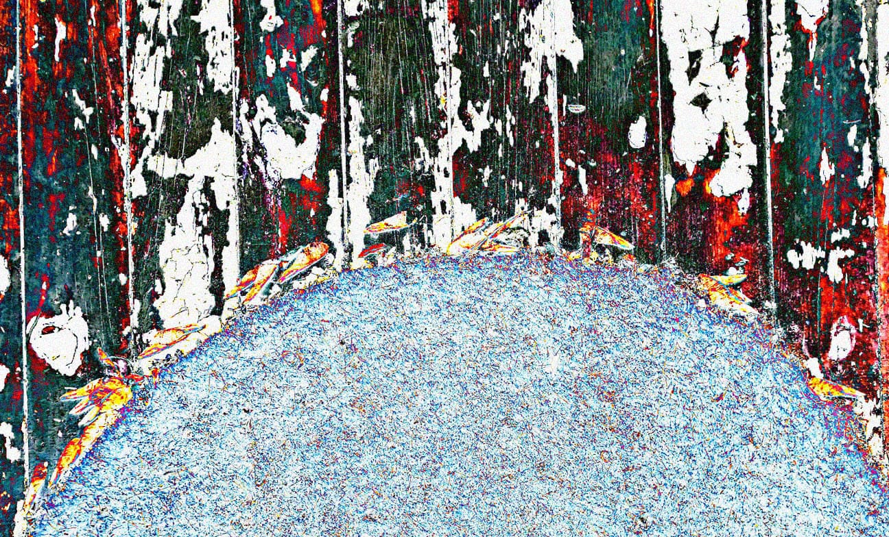 Un paillasson et mes rêves