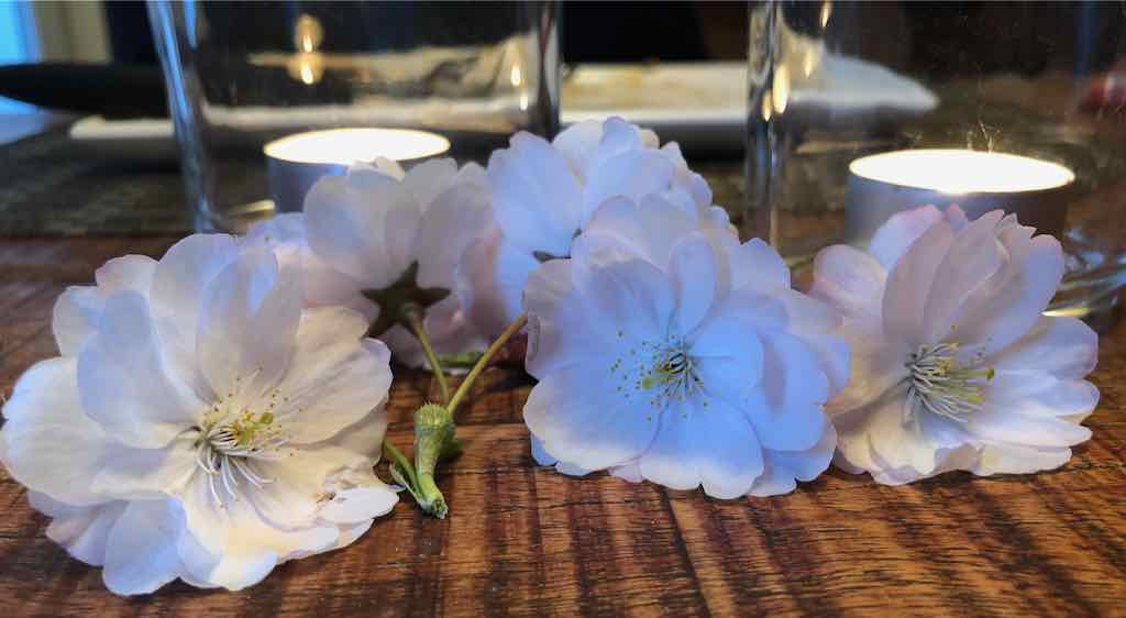 Saturn and Pluto are not the plague