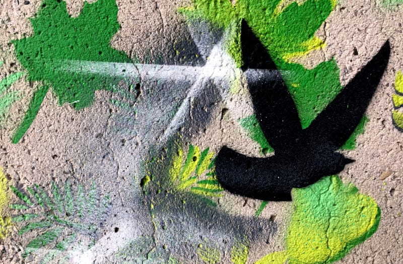 The bird is telling you