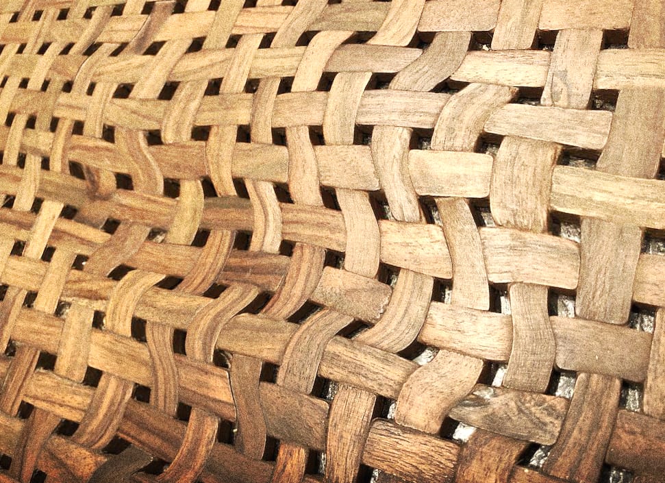 The idea of the brain