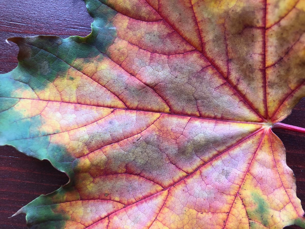 Before saying goodbye