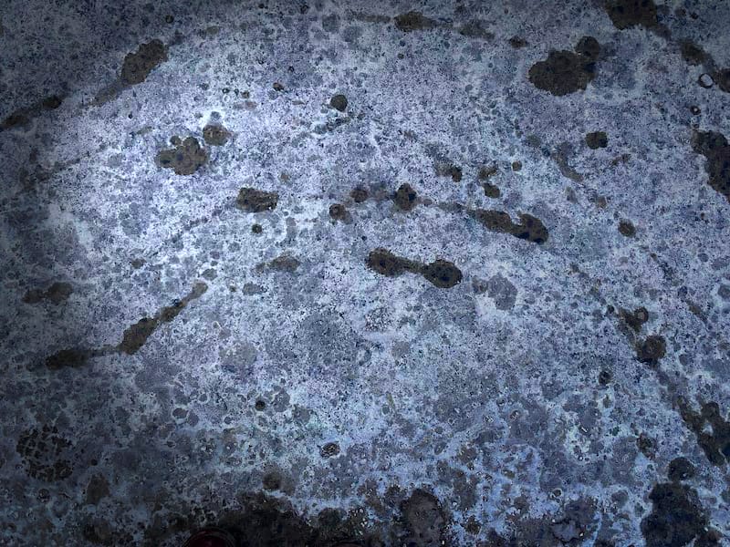 Le cycle et l’année