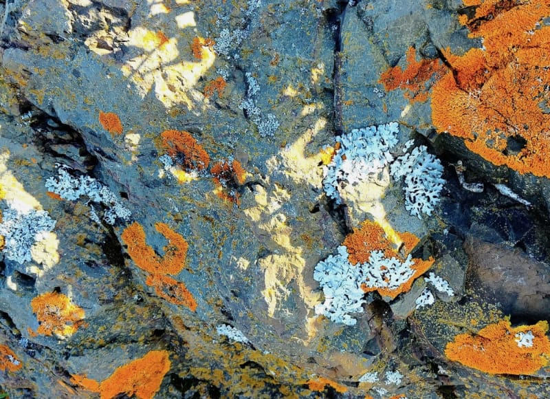 Moi et le champ akashique