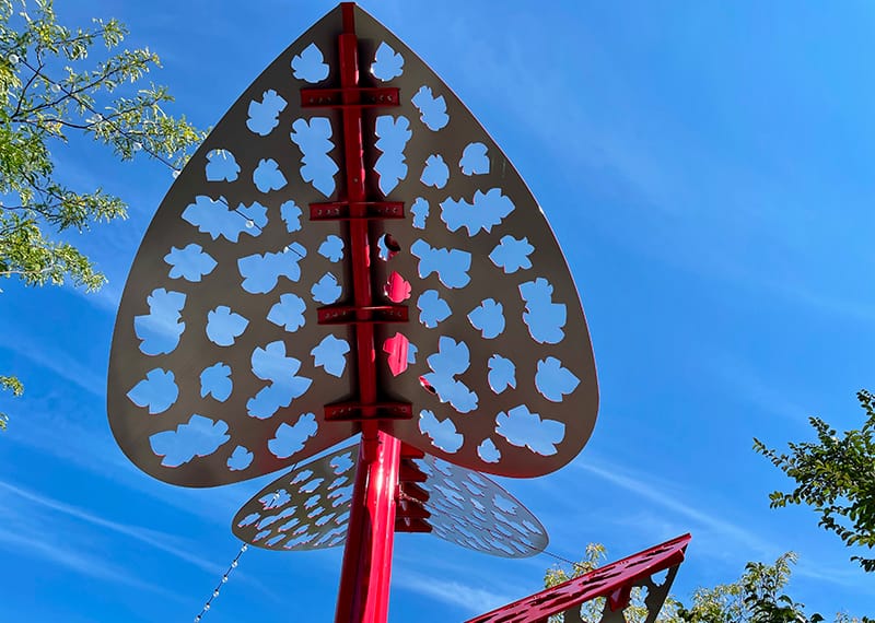 La soif de connaître