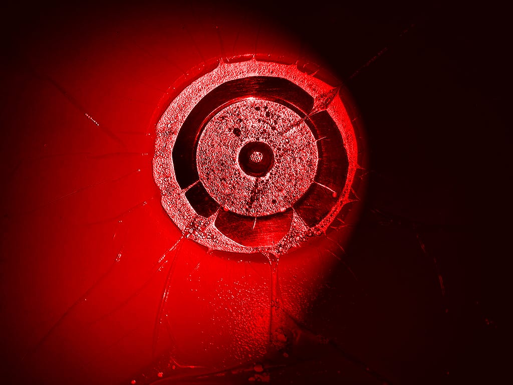 Fruit flies in the brain