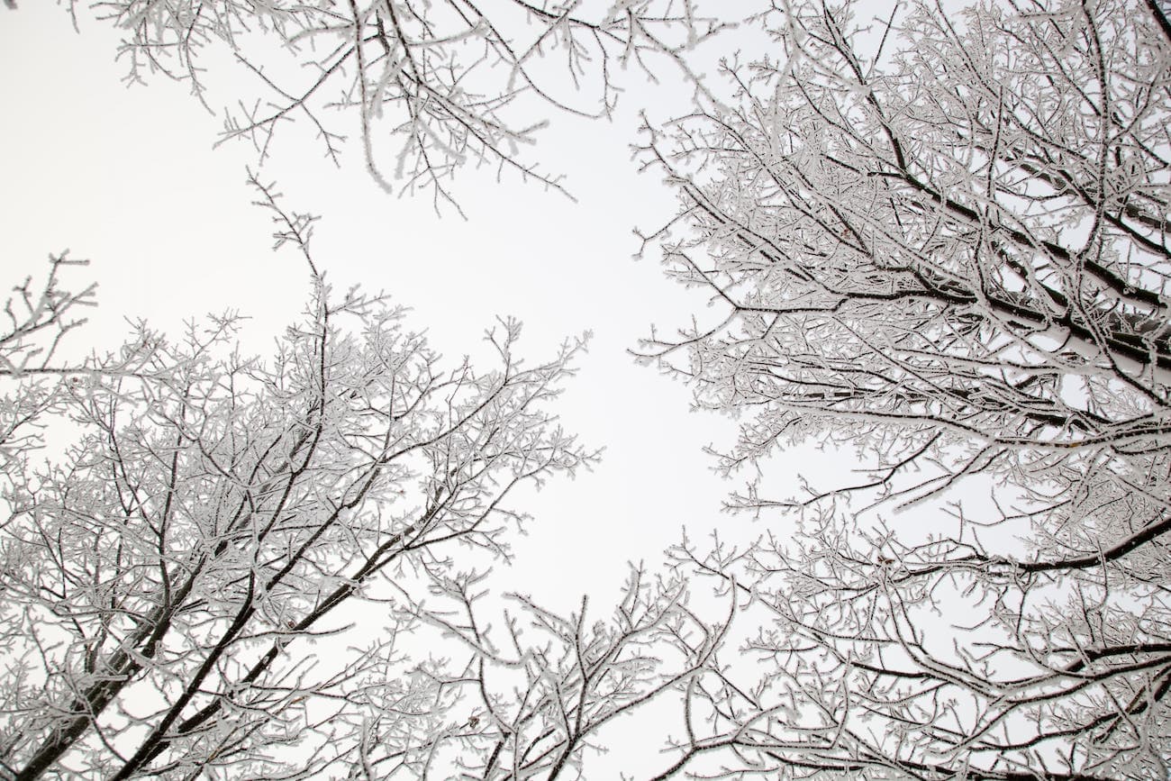 Taking the floor again