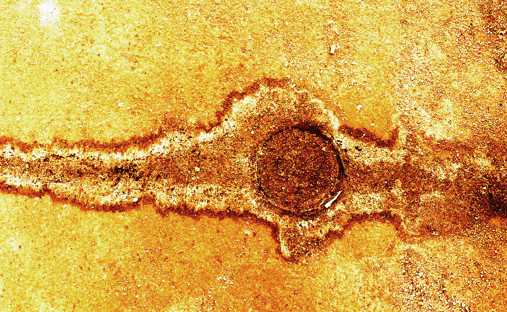 Pendant ce temps sur la Terre