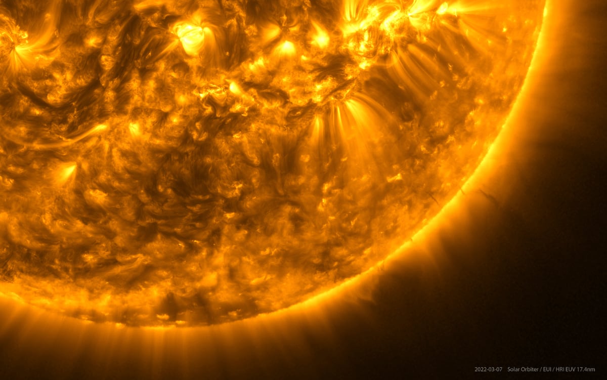 L’abracadabra de la vie